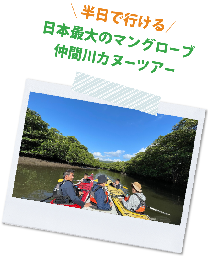 半日で行ける
日本最大のマングローブ仲間川カヌーツアー