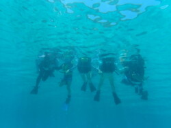 OLYMPUS DIGITAL CAMERA